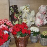 В Одессе открылся новый цветочный магазин
