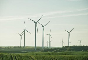 Под Овидиополем обещают построить ветряные электростанции