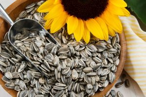 S&W seed company — производство семян подсолнуха в Украине